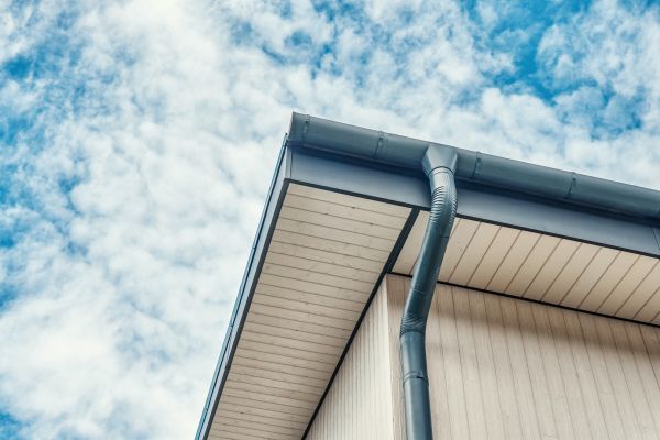 Gutter Fascia Repair in Show Low