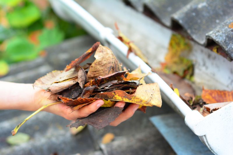 Leaf Debris Removal